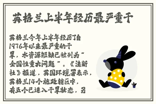 亚洲砖码一二三